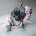Piesek Lily Buldog Francuski pachnący wanilią z pieluszką Asi 0617620